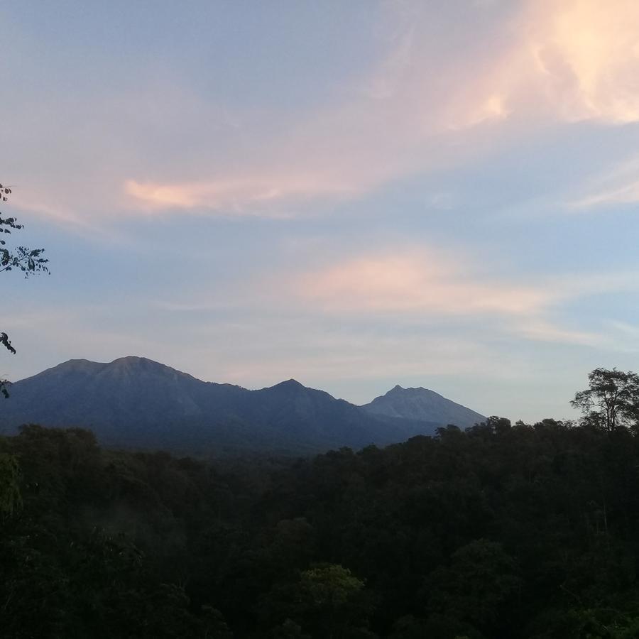 Tereng Wilis Jungle Inn Tetebatu Exterior photo