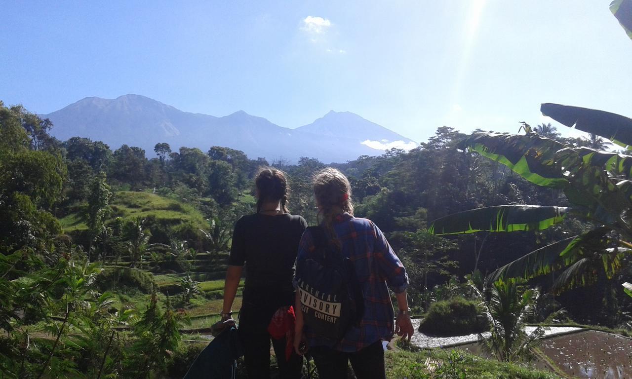 Tereng Wilis Jungle Inn Tetebatu Exterior photo